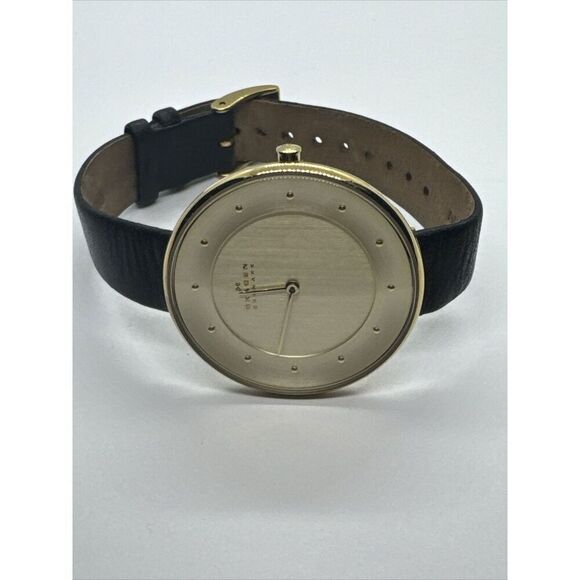 Skagen Ditte SKW2262 Women\'s Black Leather Analog Dial Quartz Wrist Watch JNA986 main image 7